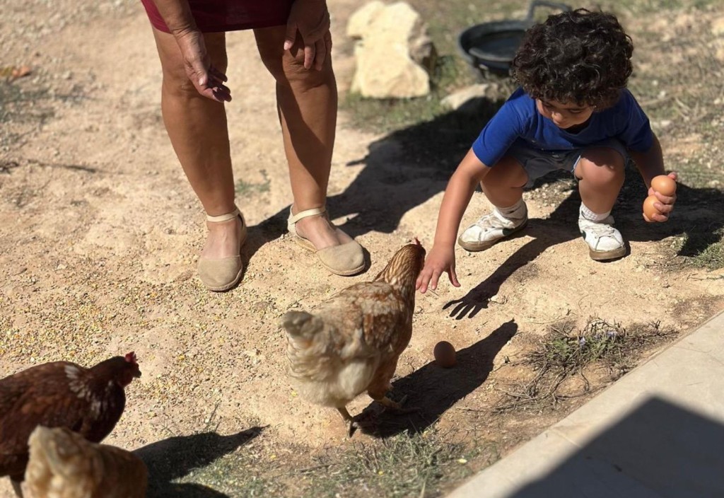 Animal-Assisted Programs